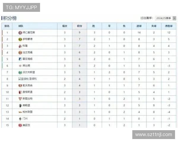 最新赛季德甲球队数据汇总及实力排名分析