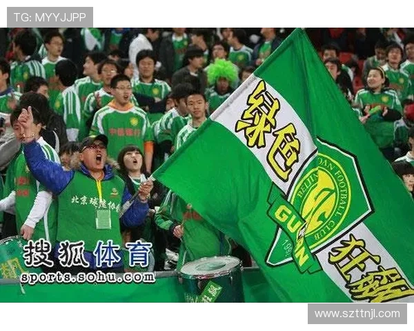 铁杆球迷图鉴：中超各队死忠文化深度解读